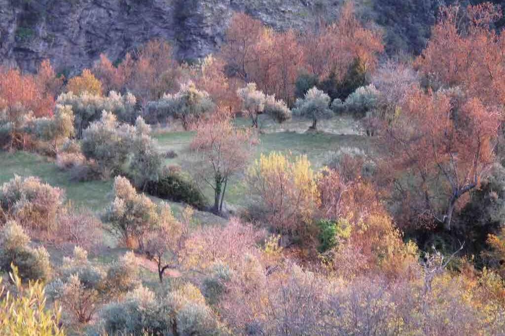 Casa Carmela, Rural House With Spectacular Views, In An Exquisite Area Villa Atalbeitar Dış mekan fotoğraf