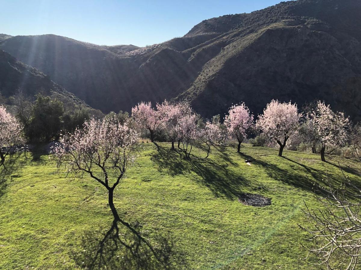 Casa Carmela, Rural House With Spectacular Views, In An Exquisite Area Villa Atalbeitar Dış mekan fotoğraf