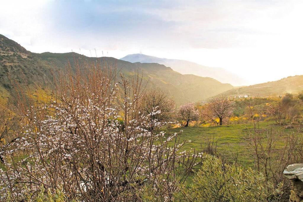 Casa Carmela, Rural House With Spectacular Views, In An Exquisite Area Villa Atalbeitar Dış mekan fotoğraf