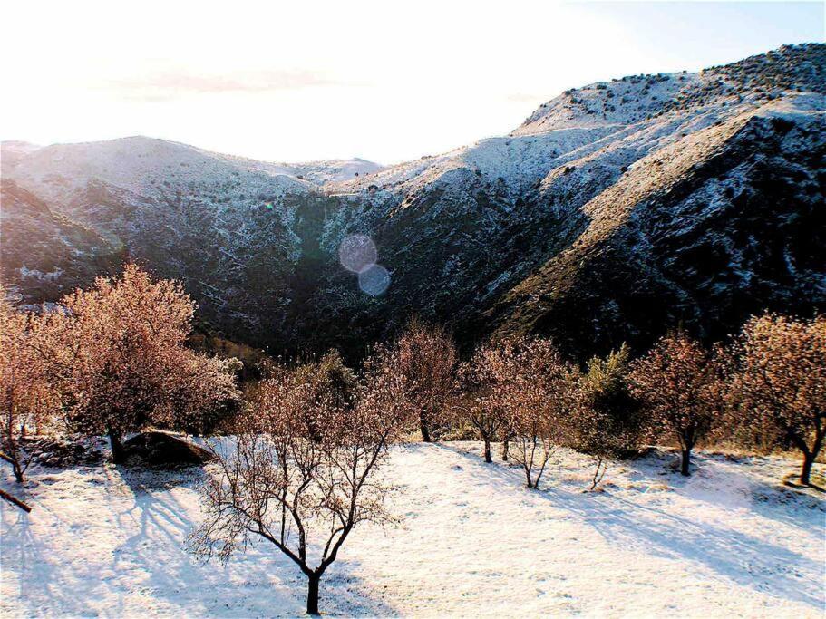 Casa Carmela, Rural House With Spectacular Views, In An Exquisite Area Villa Atalbeitar Dış mekan fotoğraf