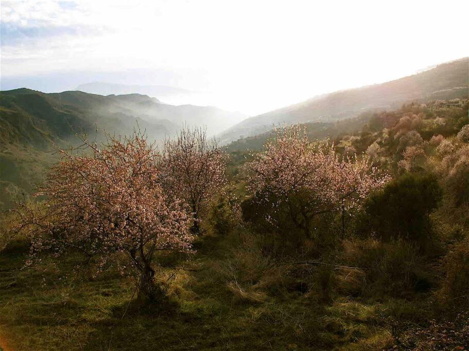 Casa Carmela, Rural House With Spectacular Views, In An Exquisite Area Villa Atalbeitar Dış mekan fotoğraf