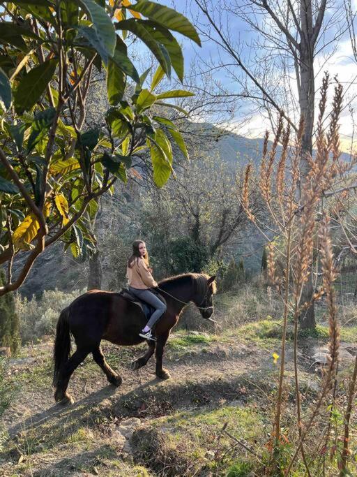 Casa Carmela, Rural House With Spectacular Views, In An Exquisite Area Villa Atalbeitar Dış mekan fotoğraf